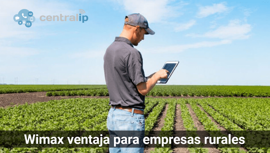 Central IP - Wimax ventaja para empresas rurales 
